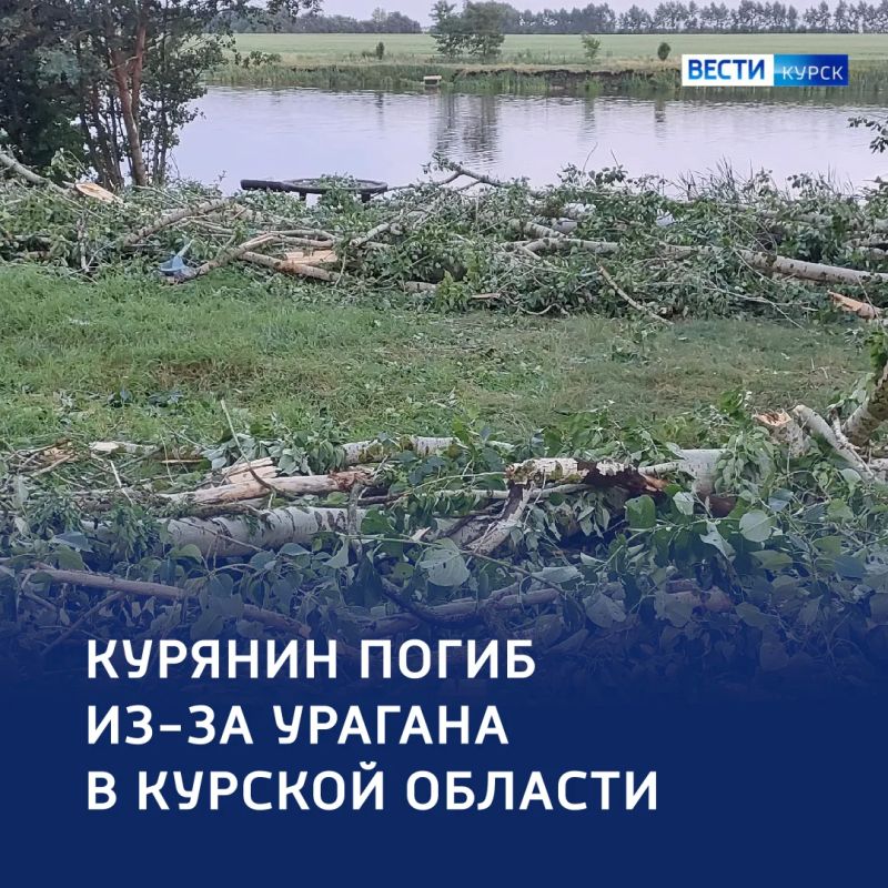 Смертоносный шквал: курянин умер из-за урагана в Курской области