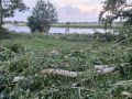 В Курской области из-за упавшего дерева при урагане погиб мужчина