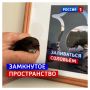 6 июля, понедельник. Круг замкнулся — очередная рабочая неделя началась