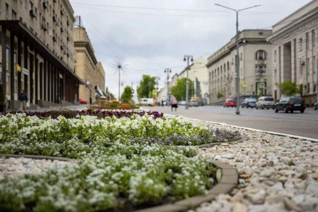 В Курске на 4 га клумб высадили 255 тысяч цветов © фото - администрация Курска