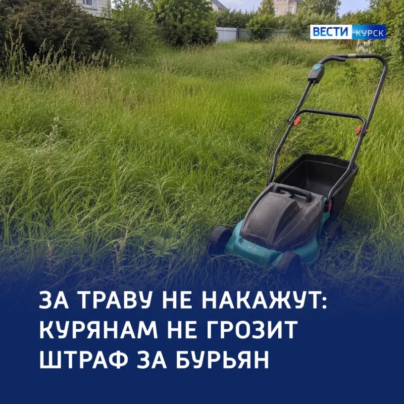 Трава в законе: курян не накажут за траву на участках
