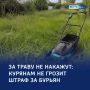 Трава в законе: курян не накажут за траву на участках
