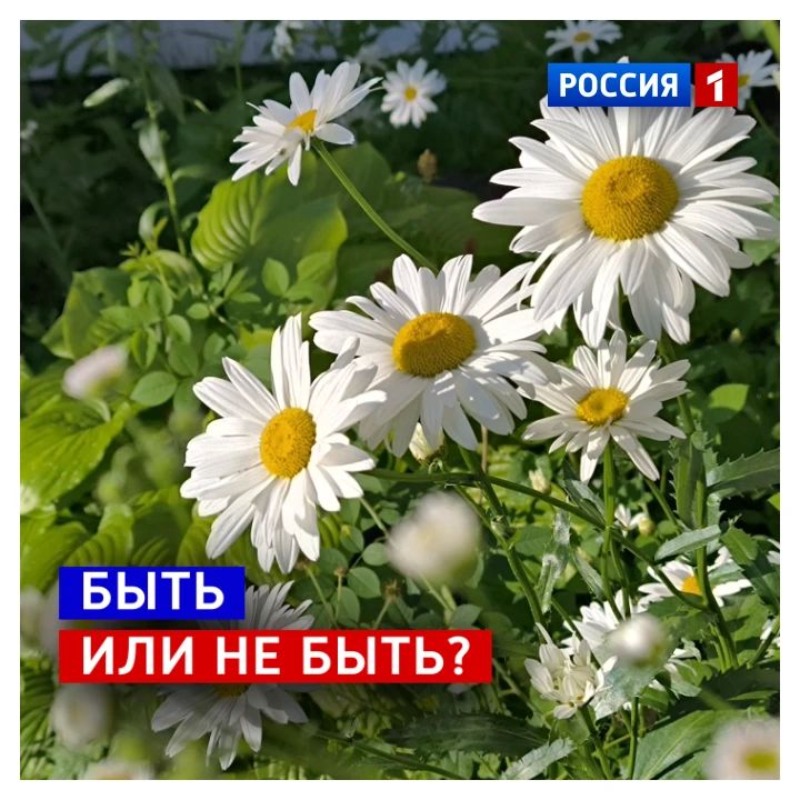 7 июля, вторник. Сегодня народный праздник — Иван Купала