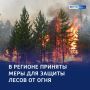 Огонь под контролем: в регионе усилена противопожарная защита лесов