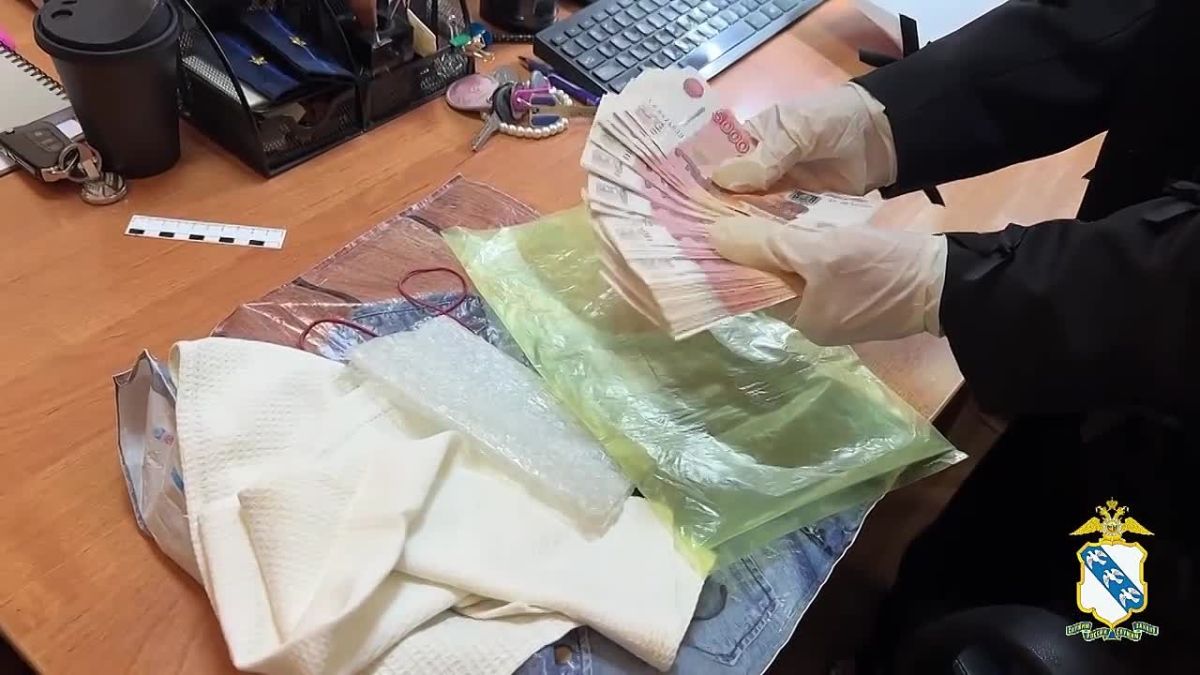 В Курской области задержали курьера мошенников с двумя миллионами рублей