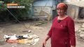 В Обоянском районе развернулась трогательная спасательная операция: местные жители не дали пропасть четверым осиротевшим аистятам