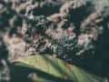 Дождливая и прохладная погода ожидает жителей Курской области 9 июля