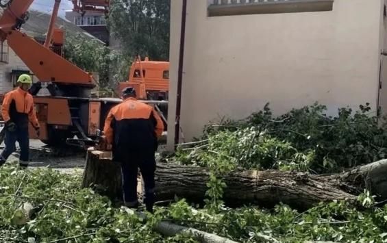 В Курске после ливня убрали 16 деревьев