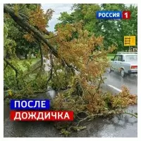 9 июля, четверг. В Курске снова дождливо