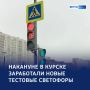 В Курске «загорелся» зелёный
