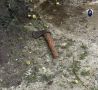 ������ ������� �� �������� ������� �������� � ������� ������� �������� ������� ���� �������, ����� ������������� ������ �� ������ ������� ������ �������