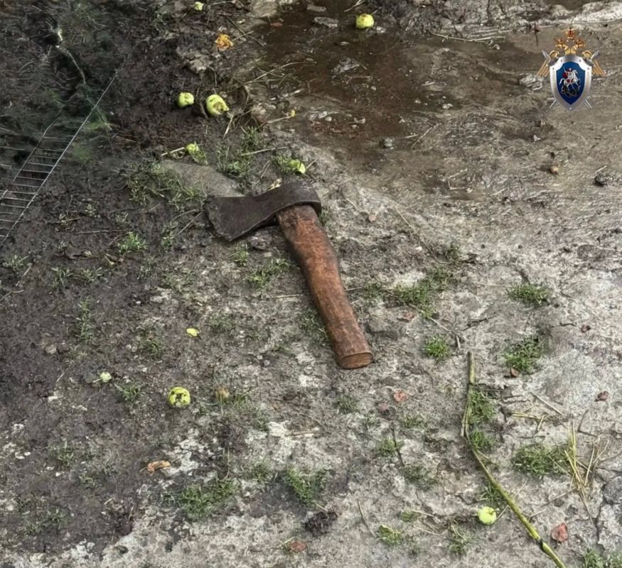 В Курском районе возбуждено уголовное дело по факту покушения на убийство