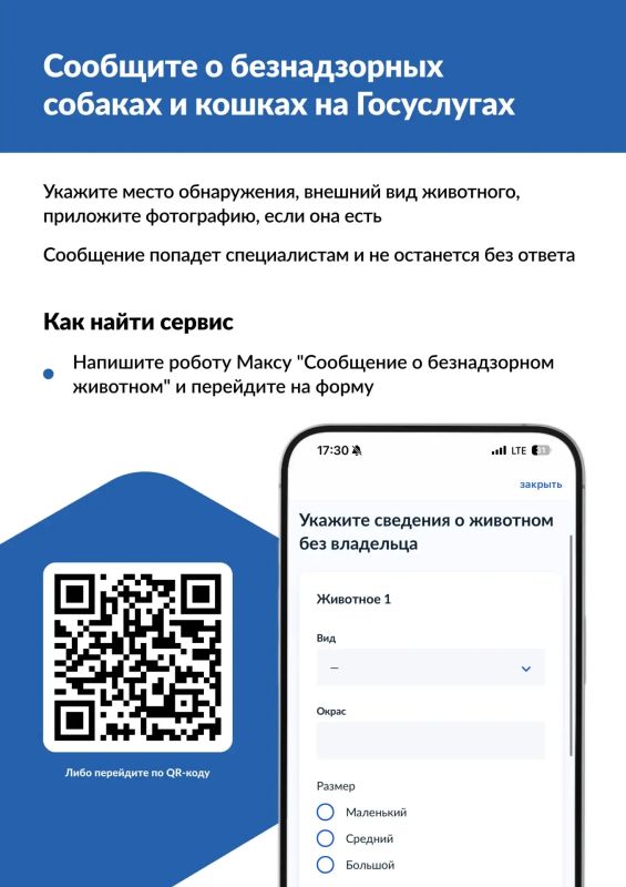 На портале Госуслуг появился новый сервис, позволяющий гражданам оперативно сообщать об обнаруженных безнадзорных кошках и собаках