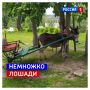 11 июля, суббота. «Деточка, все мы немножко лошади...»