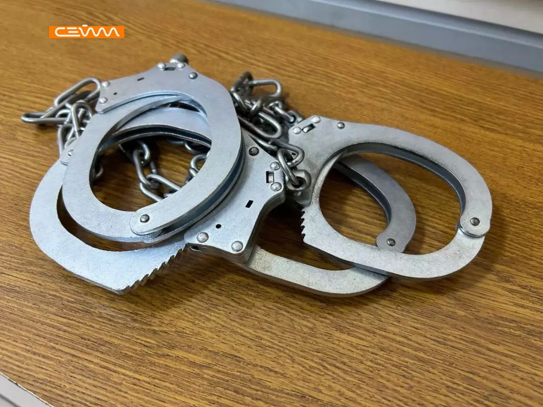 В Курске заключили под стражу подозреваемого в убийстве с помощью вил