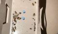 ��� ������ �������� ���� � ���������� �� ��������� ������� �� ������ �������