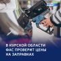 «Черное золото»: частные АЗС региона проверят ФАС и прокуратура