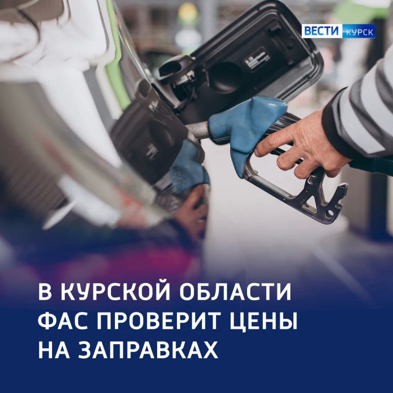 «Черное золото»: частные АЗС региона проверят ФАС и прокуратура