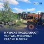 Генеральная уборка: из лесов Курска вывезли тонны мусора
