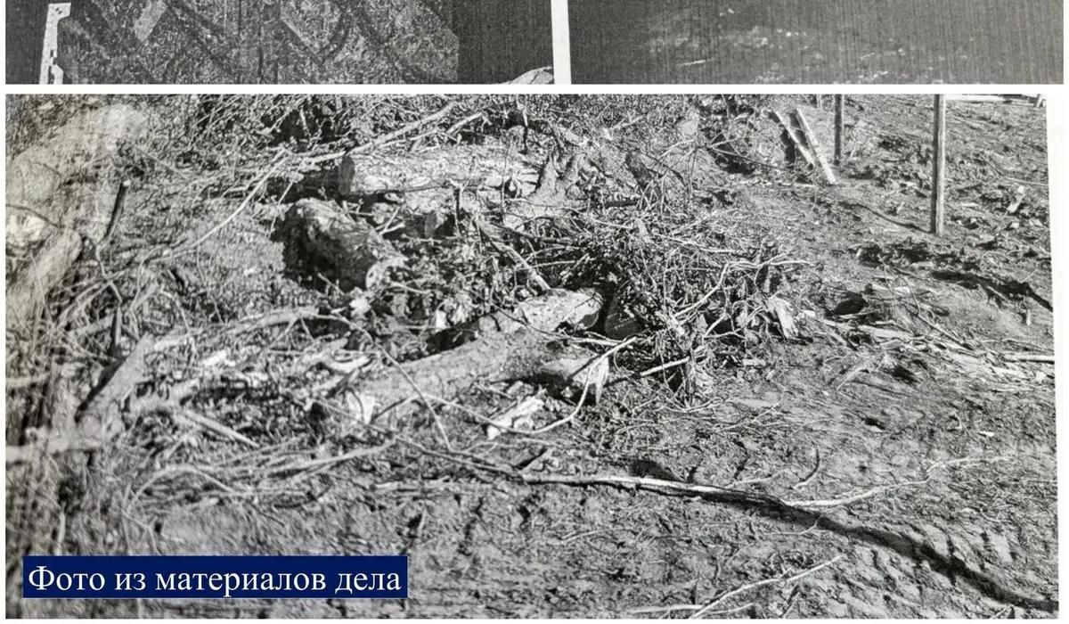 В Курске суд взыскал 200 тысяч рублей за уничтоженные бульдозером насаждения