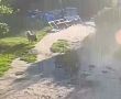 В Курске раскрыли кражу саквояжа с ценными вещами. Воришкой оказалась собака