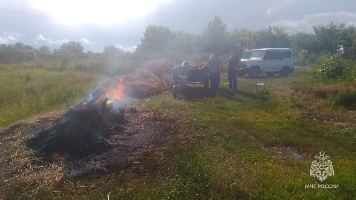 Курян штрафуют за опасные костры и непогашенные участки