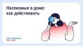 Борьба с насекомыми в многоквартирном доме
