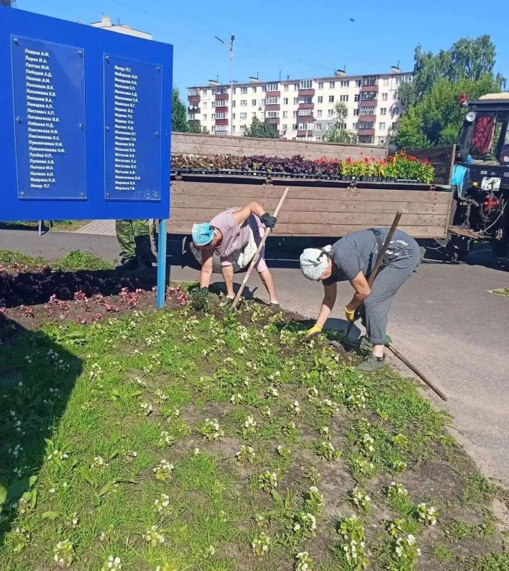 Лето в нашем городе — это настоящая симфония красок и ароматов!