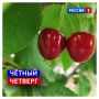 16 июля, четверг. Шестнадцать — число чтное