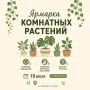 19 июля в 12:00 в креативном пространстве «Веранда» пройдет на ярмарка комнатных растений - событие, где природа встречается с творчеством, а полезное соединяется с красивым