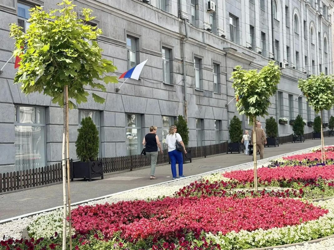 На улице Ленина в Курске высаживают новые клены