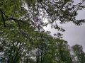 Куряне вновь увидят небо в облаках 17 июля