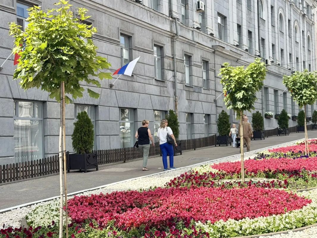 В рамках муниципального контракта в Курске на ул. Ленина специалисты ИП Сароян высаживают клен остролистый на штамбе