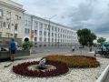 В Курске на улице Ленина высадили 14 клёнов