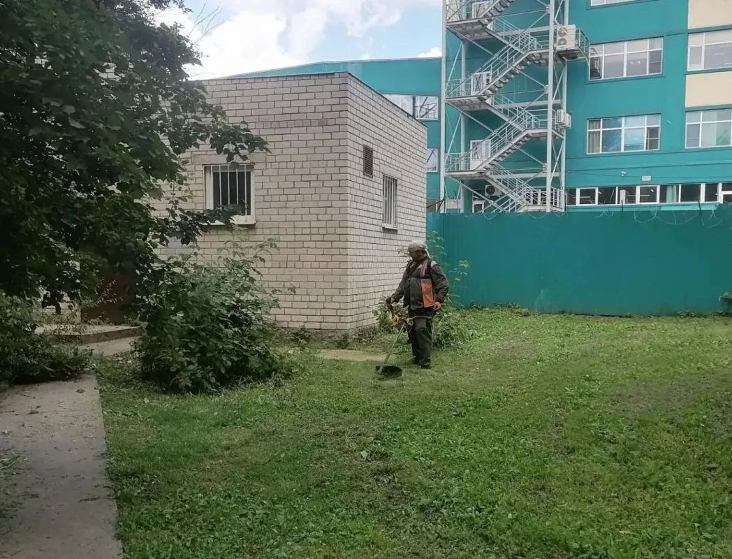 В Курске за неделю покосили более 12 га травы