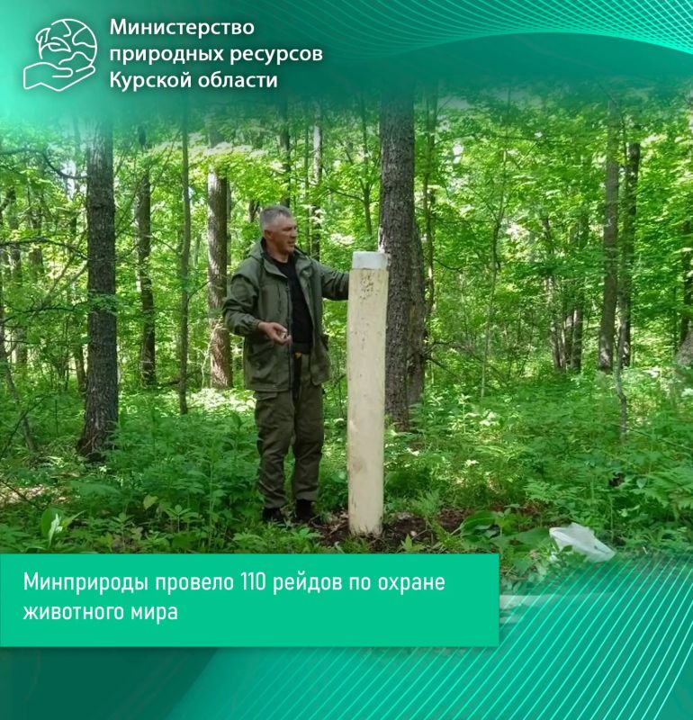 Минприроды провело 110 рейдов по охране животного мира