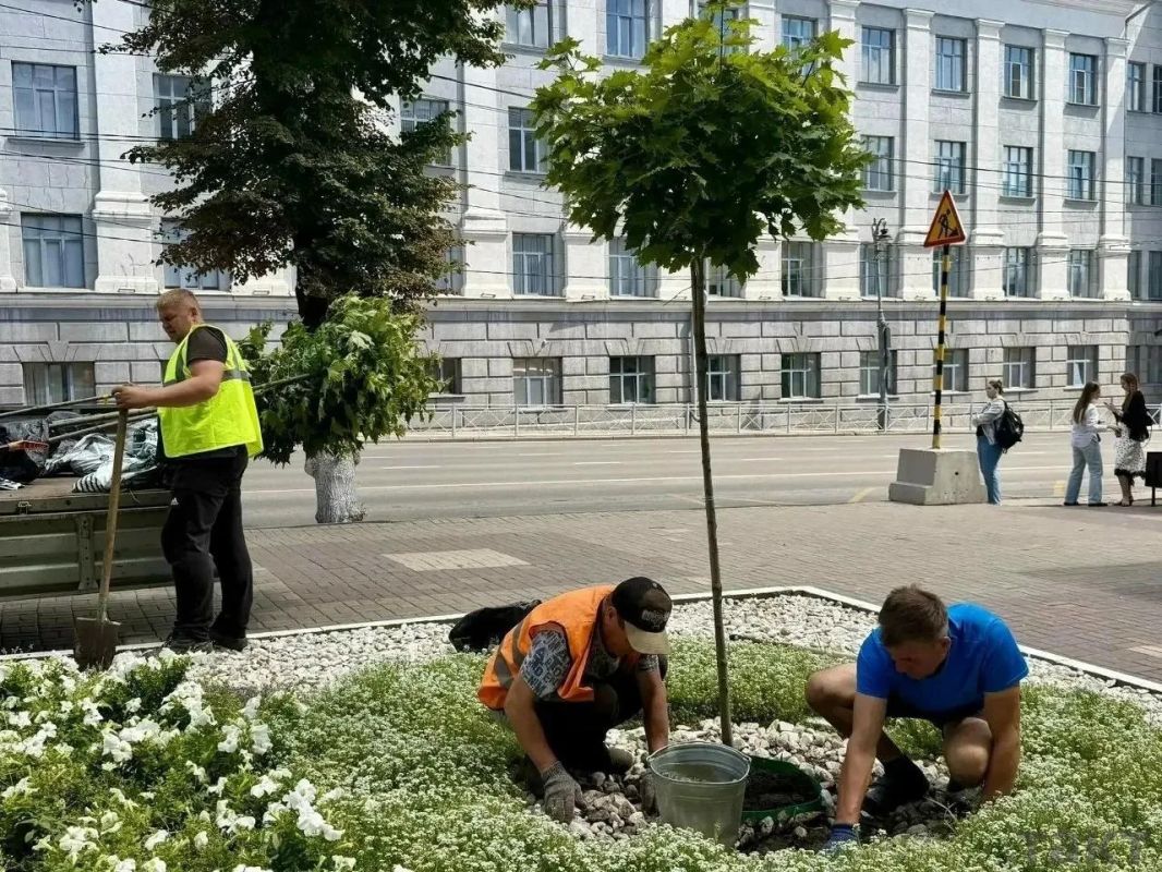 Центральная улица Курска пополняется зелеными насаждениями