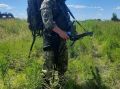 В ВС РФ рассказали о разминировании минных полей в Курской области