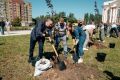 В Курске высадили Аллею военкоров в память о погибших журналистах