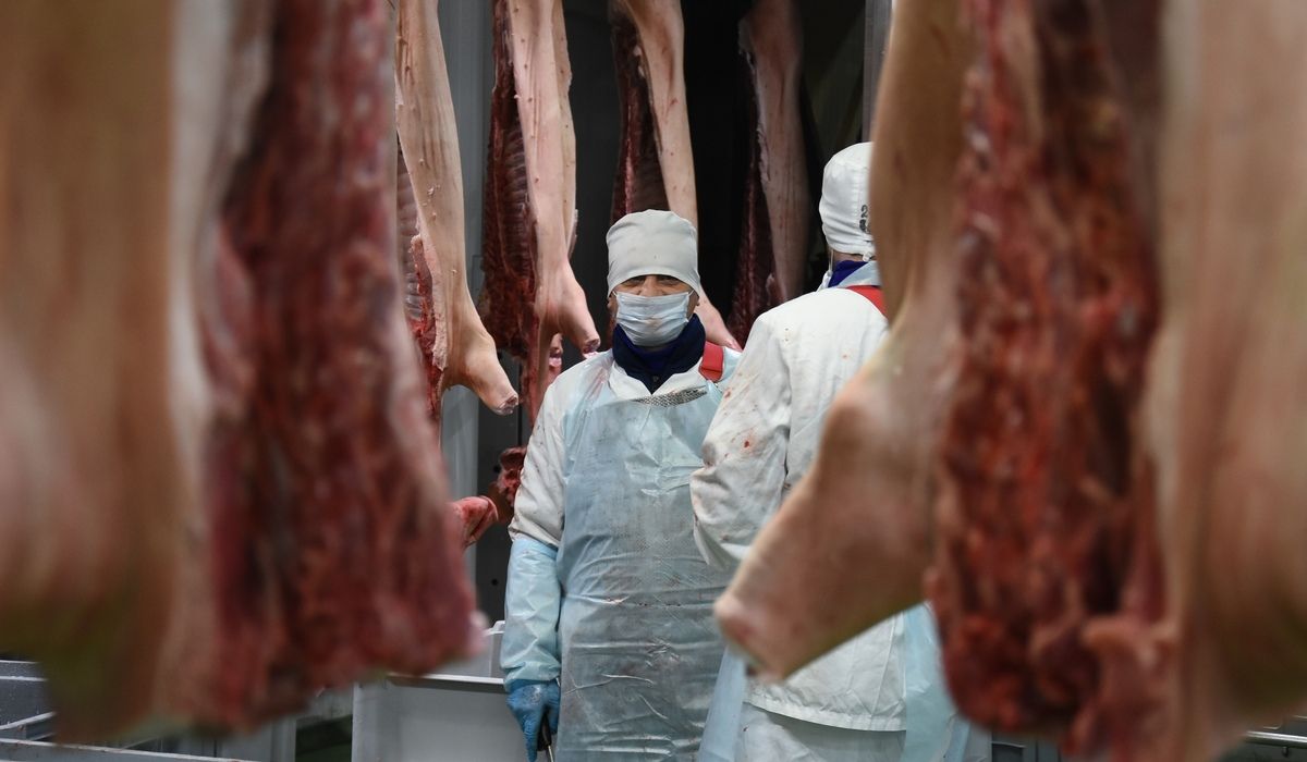Курский завод начнёт экспорт мясной продукции в Китай