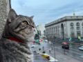 Особое очарование Курска раскрывается именно после дождя