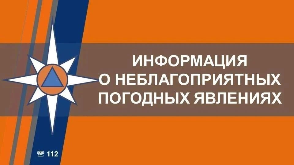 По данным ФГБУ «Центрально-Черноземное УГМС», на территории Курской области 21 июля не исключены неблагоприятные погодные условия