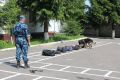 УФСИН России по Курской области присоединился к «Хвостатому флешмобу»