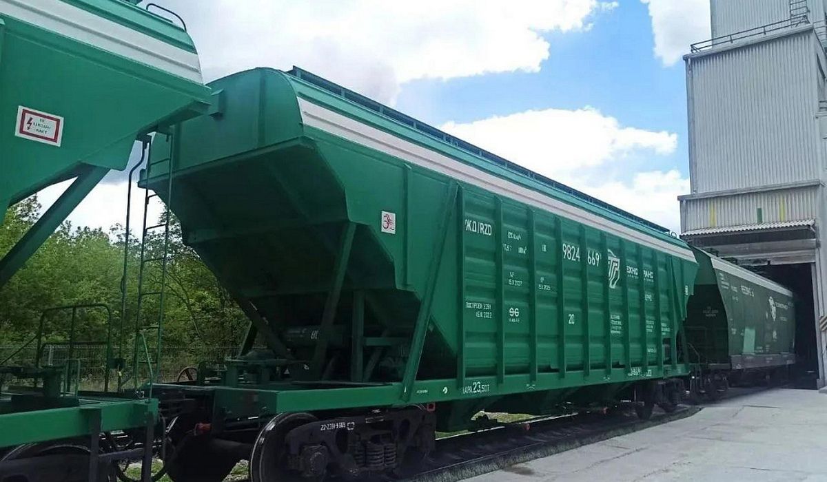 В Курской области железнодорожная отгрузка зерна выросла на 65%