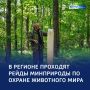 Сети для браконьеров: 5 протоколов нарушителям — за неделю