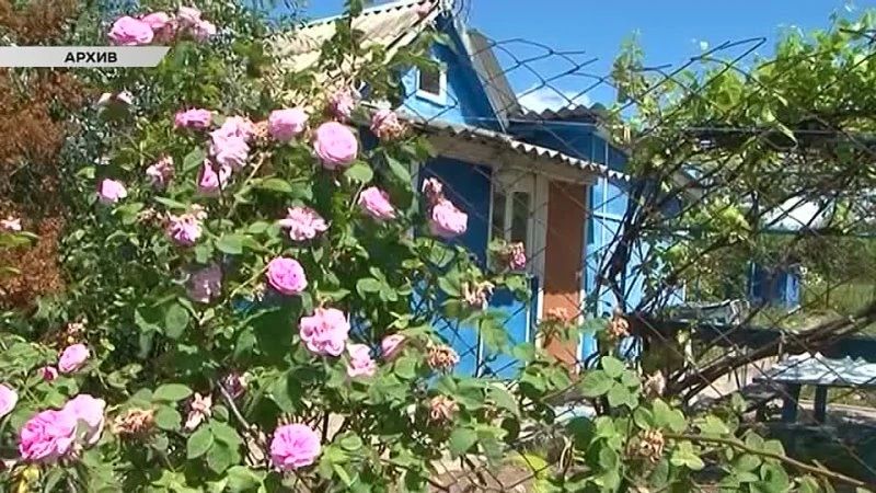 Куряне отметили День дачника