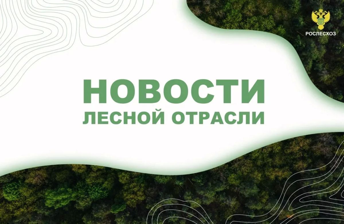 Липецкое время: В Липецкой области начали проверять, как восстанавливаются леса после высадки