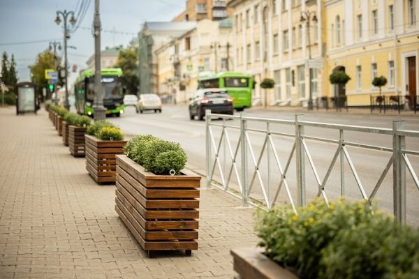 В Курске в новые кашпо на улице Ленина высадили хризантемы