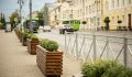 На улице Ленина в Курске начали высаживать осенние хризантемы