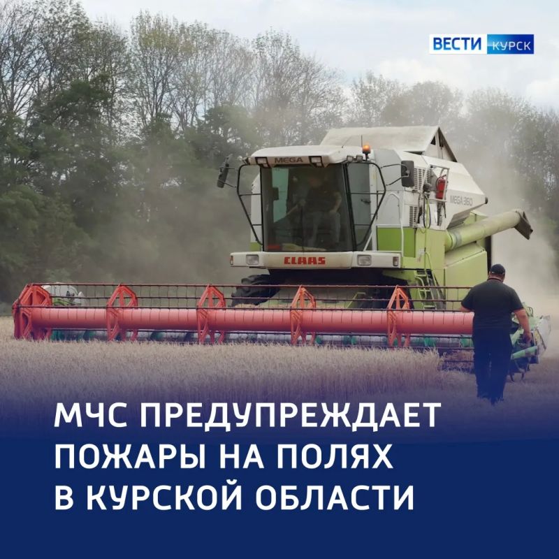 Уборка под присмотром: в регионе усилили противопожарную защиту полей
